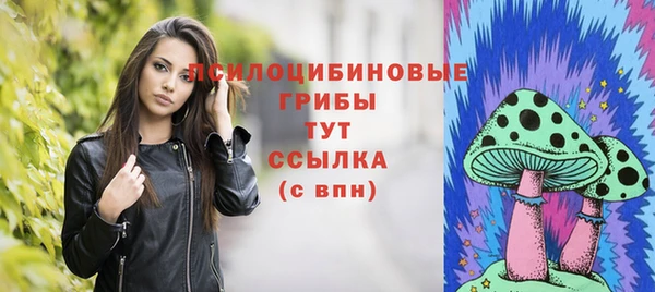 молекула духа Аркадак