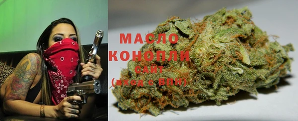 твердый Арсеньев