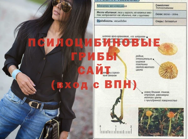 дживик Армянск