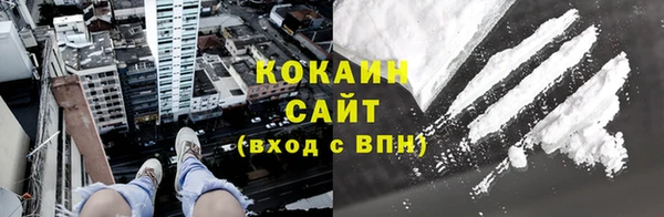твердый Арсеньев