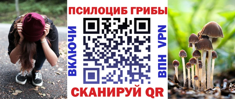 нарко площадка Telegram  Заозёрск  Галлюциногенные грибы мицелий 